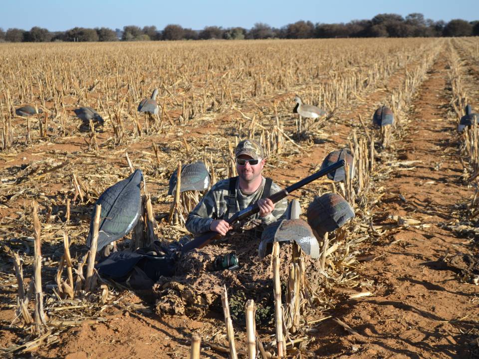 Field Hunting for Geese in Africa.jpg